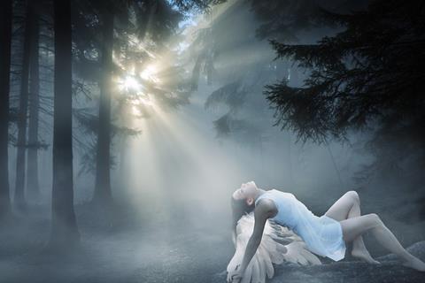 Fallen Angel jigsaw puzzle